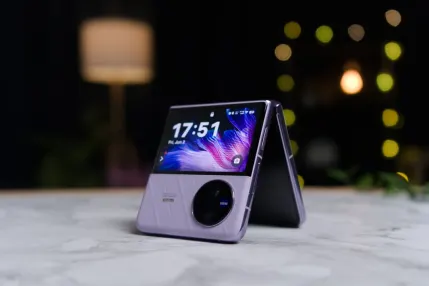 Jungle Raja Casino Mobile App